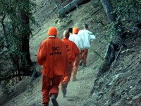 How would you feel if you saw these guys running toward you in the middle of the San Bernardino Mountains?! Fortunately, they weren't escapees. They're prisoners in a minimum security prison who get this daily workout as a special privilege. They were all very nice to us and sold us some crack. 