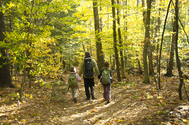 Damien Tougas and his family walking into the woods