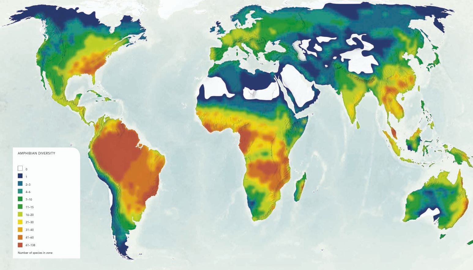Amphibian diversity world map