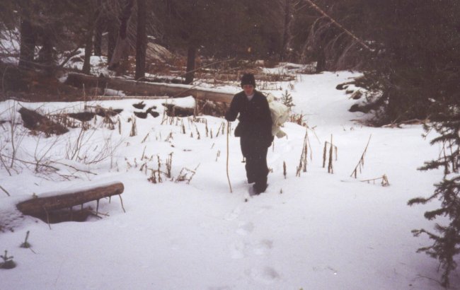 Deserted Trail in Yosemite