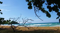 Relaxing beach view in Panama