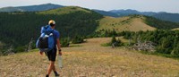  North of Rogers Pass. I carried extra water in my hand in this dry section which stays on the Divide.