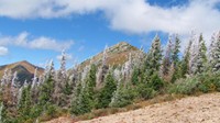  At times I felt more cold in late September than I felt in early May. This photo shows a minor snow storm in September. 