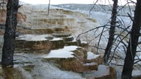 Steps at Canary Spring at Mammoth Springs in Yellowstone.