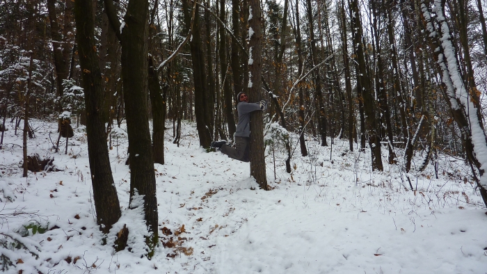 Hanging onto a tree in the snow