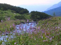 Despite my misfortunes, the High Tatras was probably the best backpacking I've ever done. 