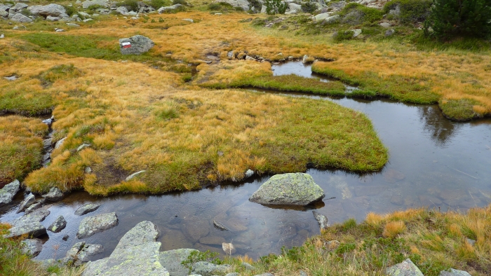 Wetland Andorra