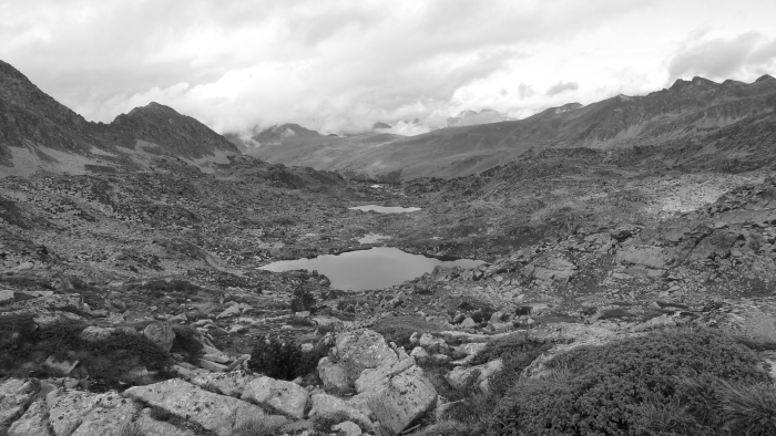 Pyrenees