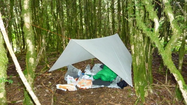 Gossamer Gear tarp among the lush trees in the Pyrenees