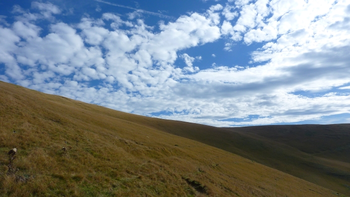 Pyrenees hills