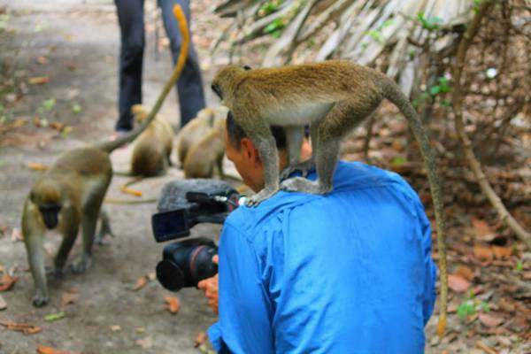My Assistant Director of Photography is really a pain in the neck! (Photo taken in Gambia)