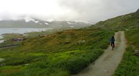 The Rallaarvegen is a wide scenic trail that takes you some of Norway's best scenery. You can bike it for $80!